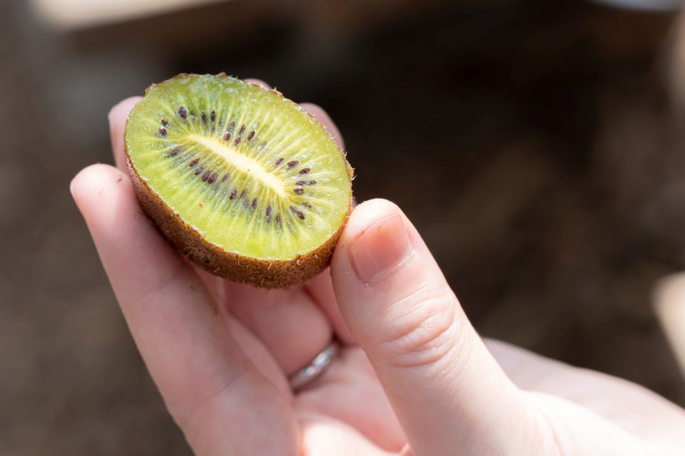 All you can eat kiwi